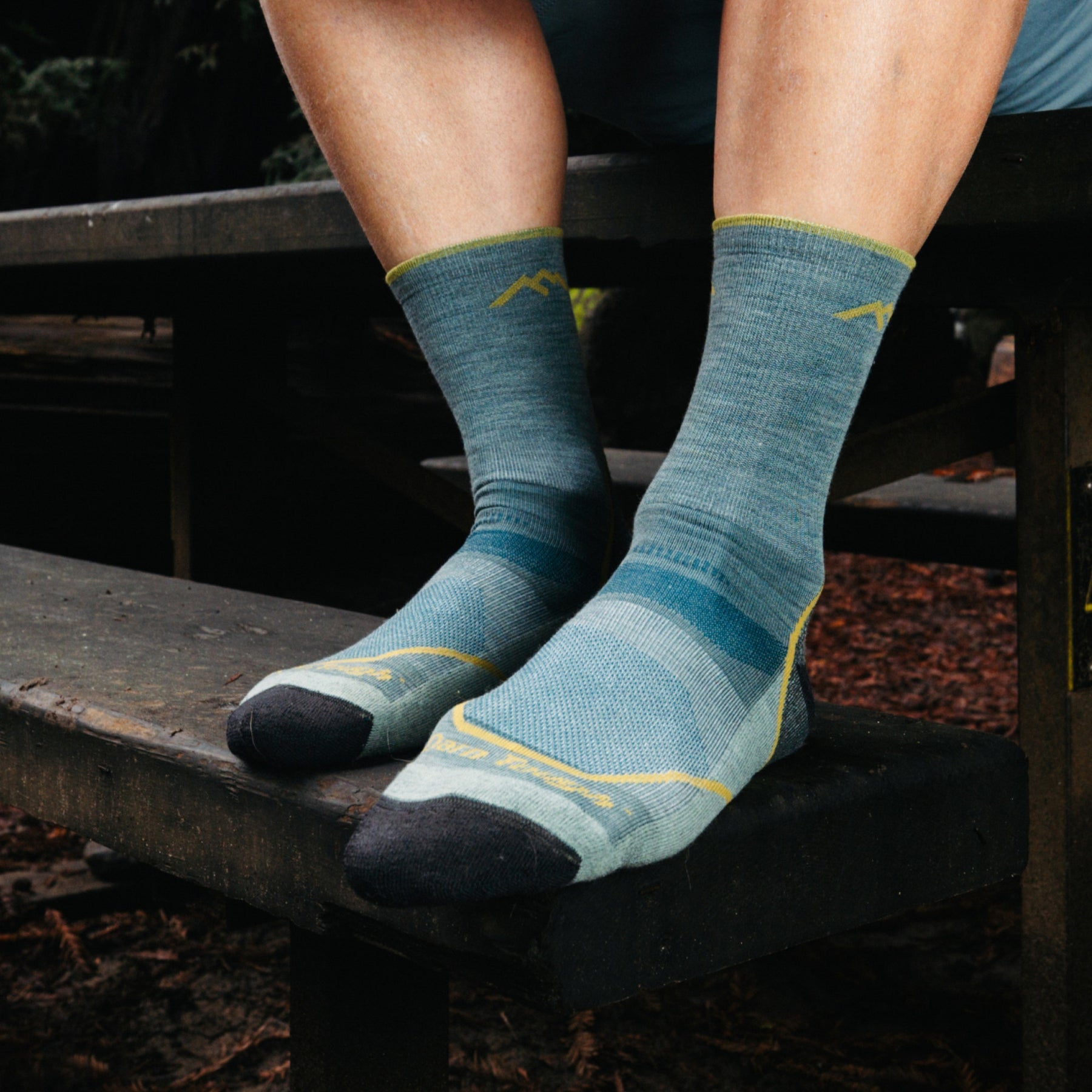 Light Hiker Micro Crew Lightweight Hiking Socks