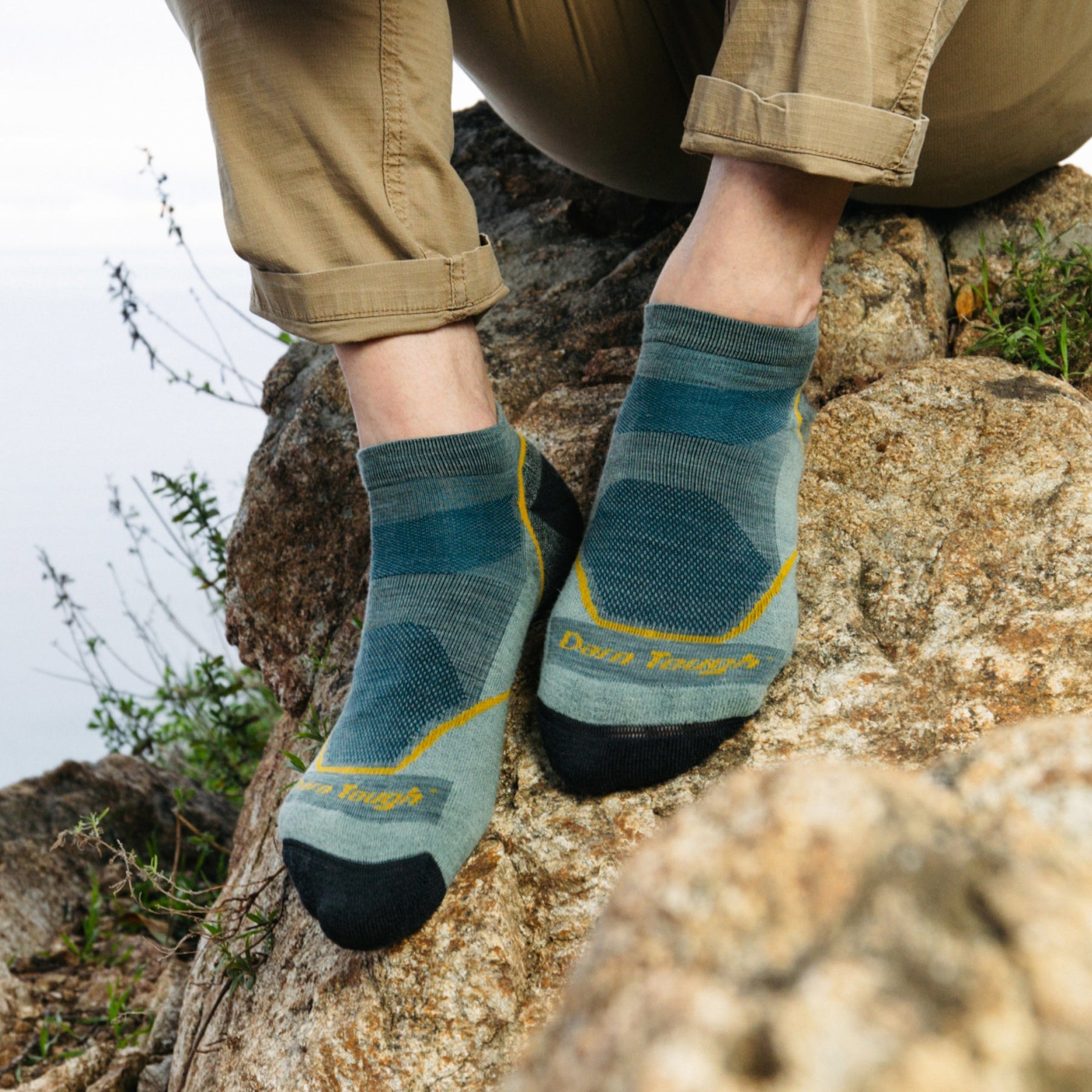 Light Hiker No Show Lightweight Hiking Socks
