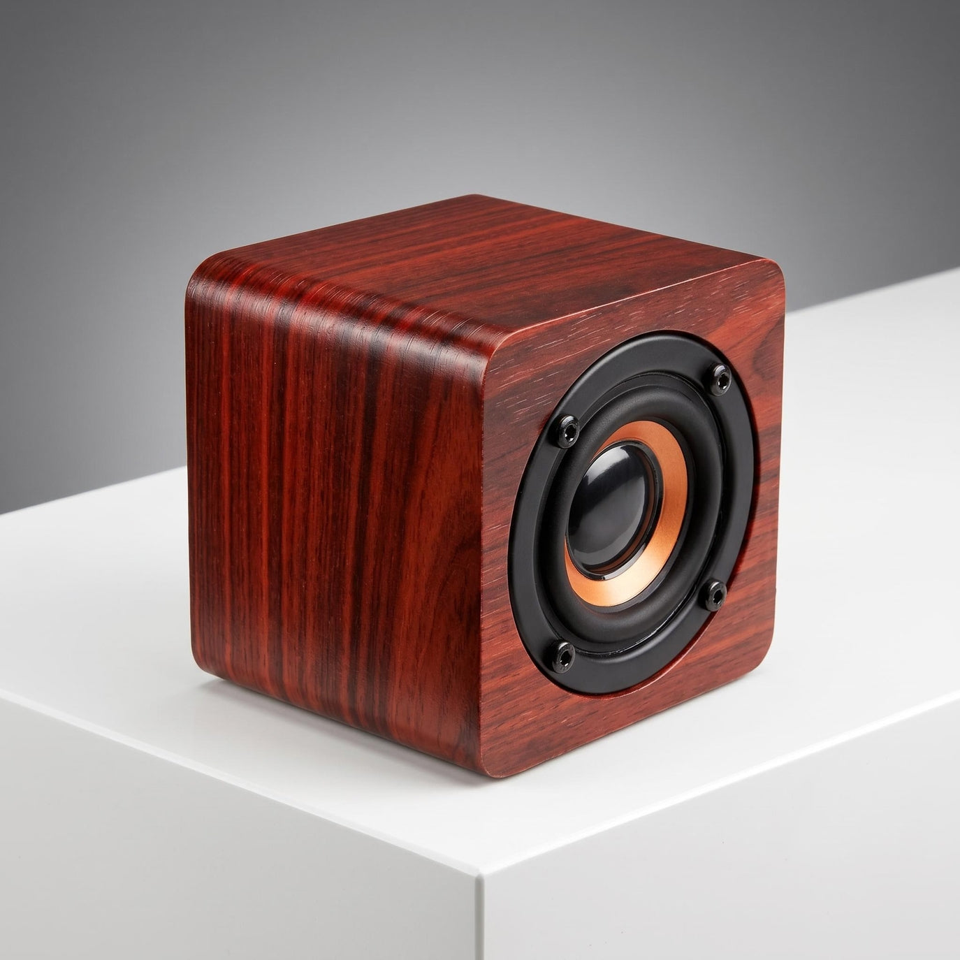 Mini Bluetooth Speaker