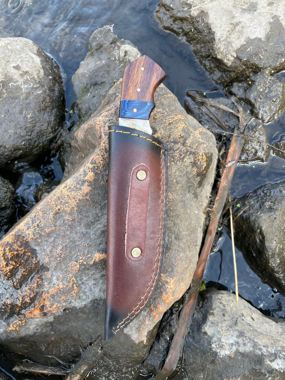 Damascus Steel Hunting Knife w/ Stag Horn and Diamond Wood Handle