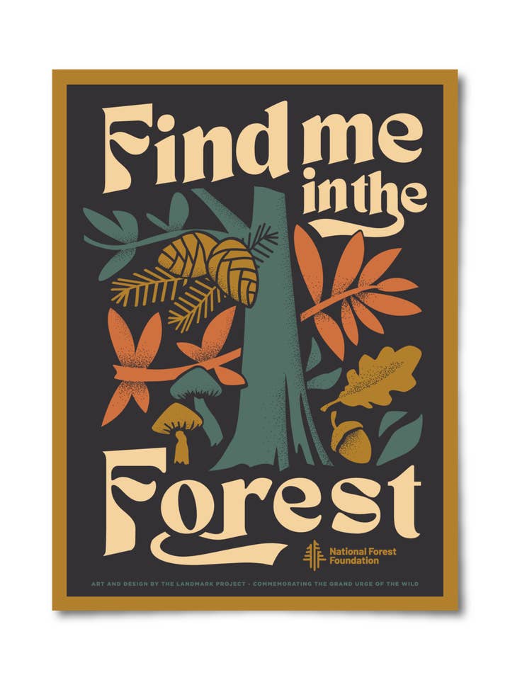The Landmark Project Find Me In The Forest Poster From Everywearonline.com
