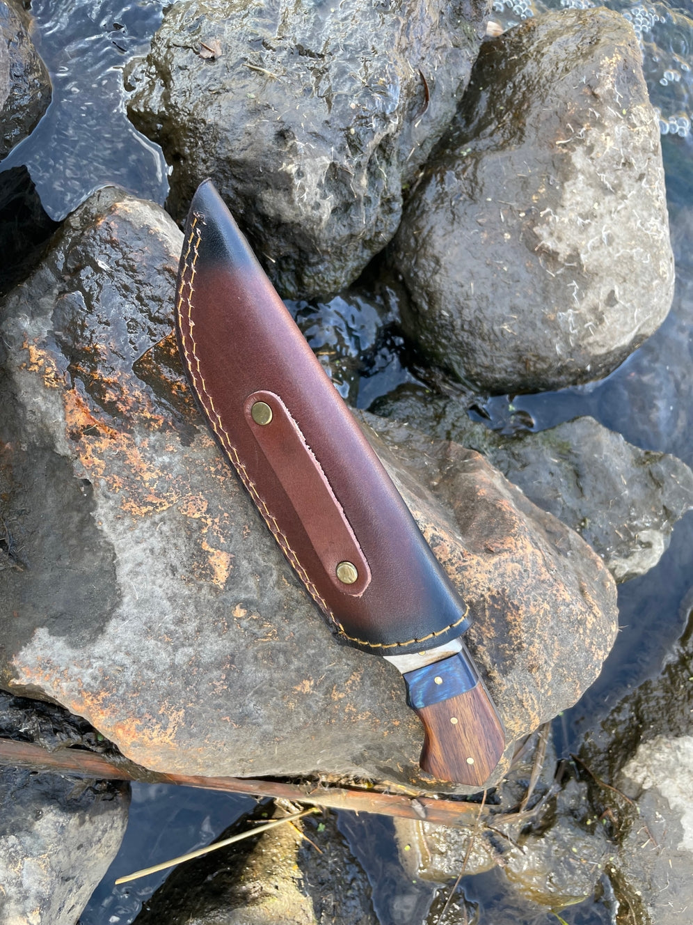 Damascus Steel Hunting Knife w/ Stag Horn and Diamond Wood Handle