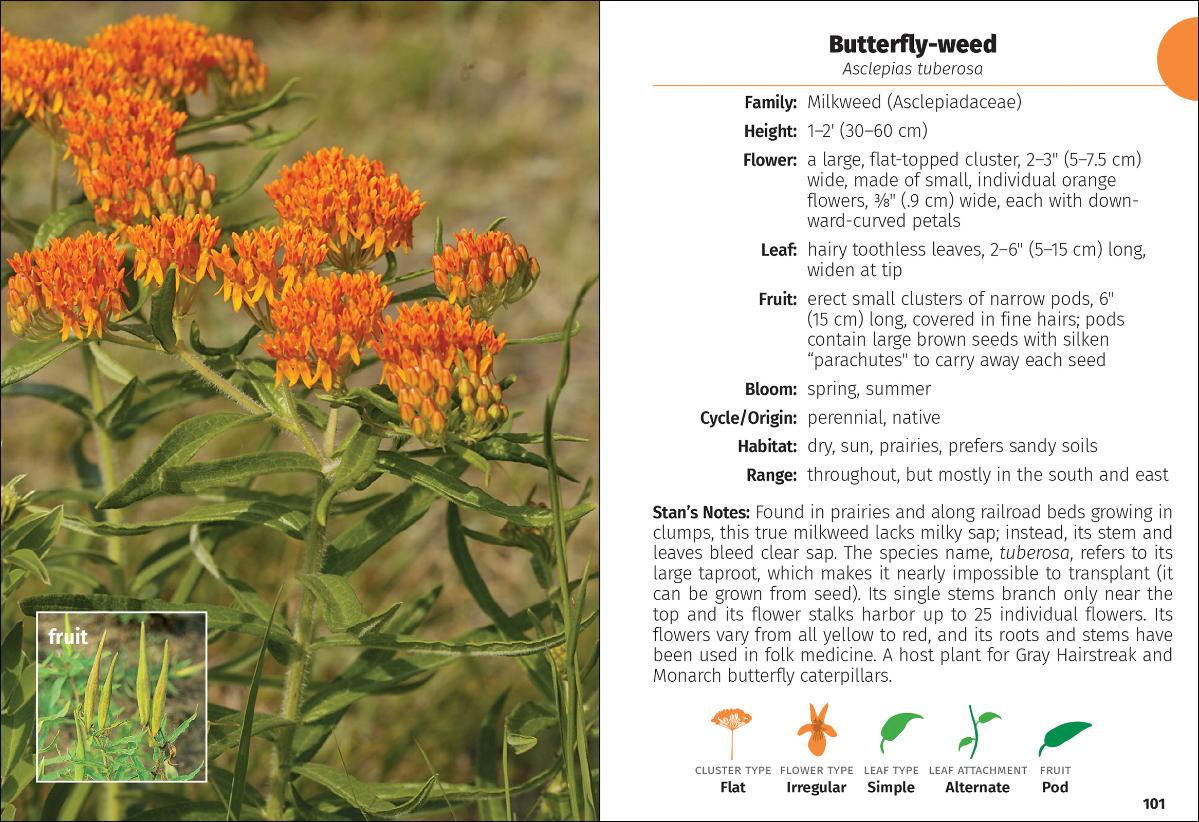 Wildflowers of Michigan Field Guide