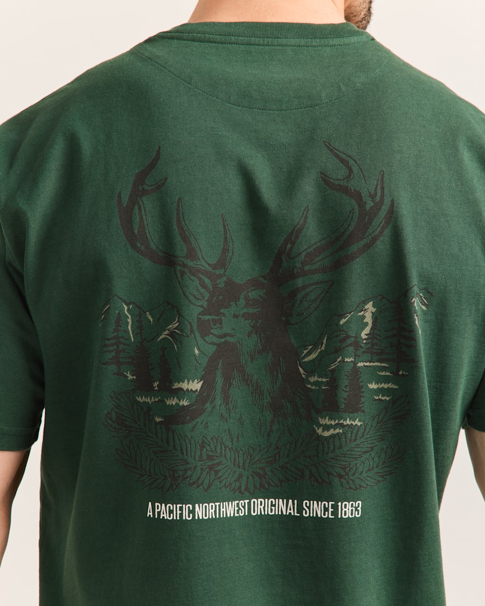 Short Sleeve Deschutes Stag Graphic Tee