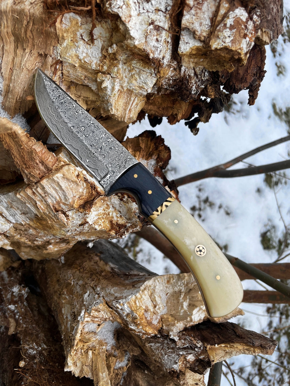 Damascus Steel Hunting Knife With Diamond Wood and Camel Scales