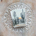 Antiquaria Cactus Sunset Anniversary Card From Everywearonline.com