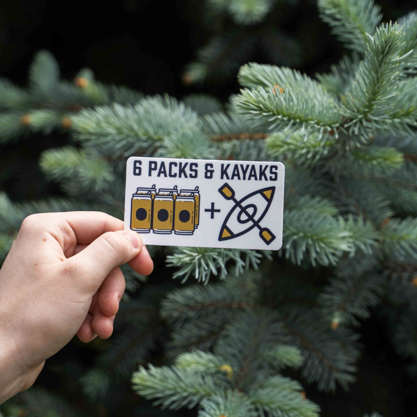 Hey Bear Outdoors - Assorted Vinyl Stickers