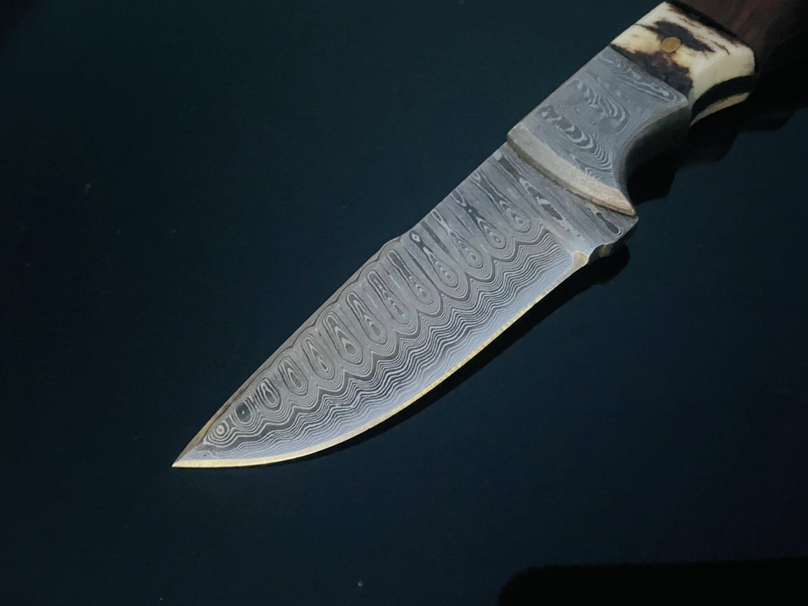 Damascus Steel Knife with Walnut & Stag Horn Handle