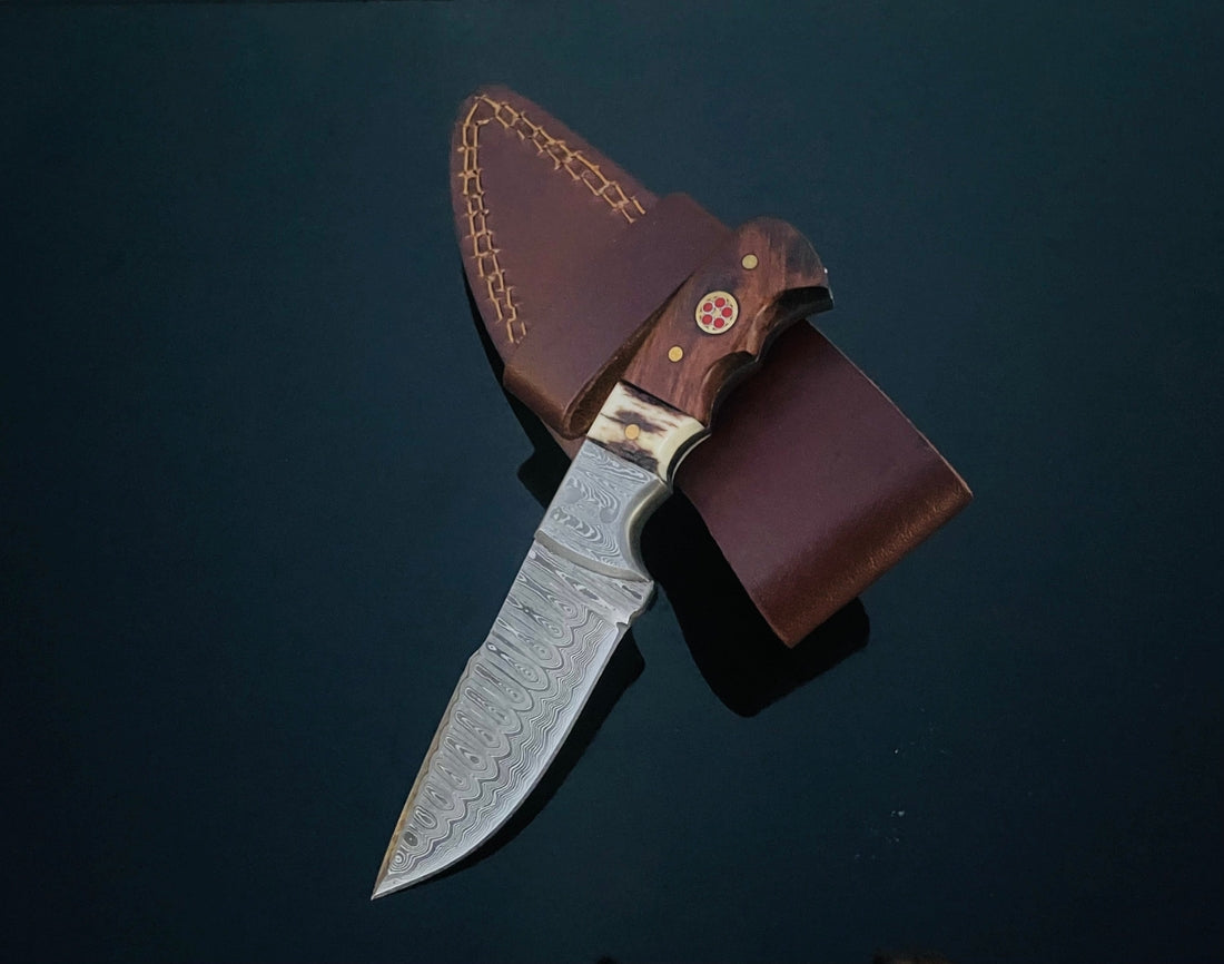 Damascus Steel Knife with Walnut & Stag Horn Handle