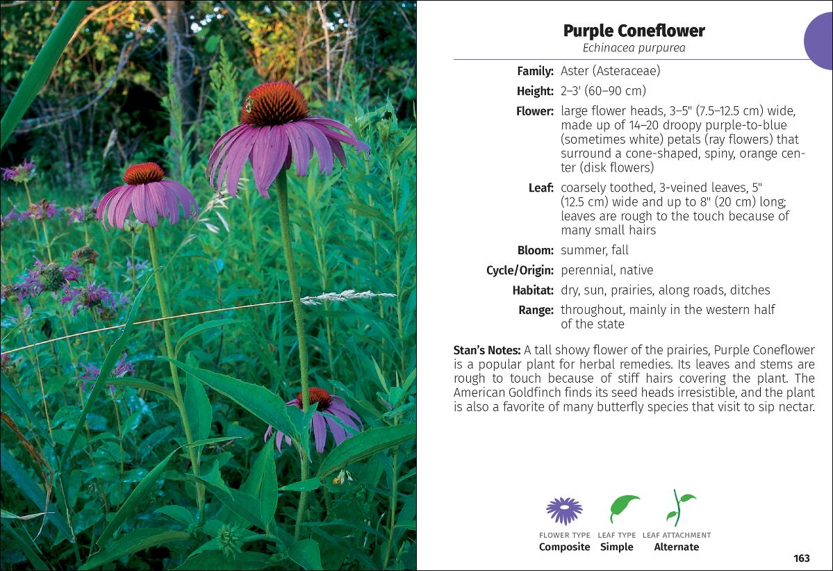 Wildflowers of Michigan Field Guide