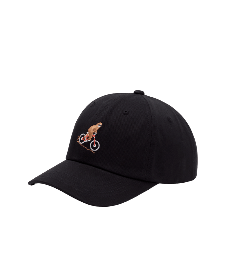 Sasquatch Peak Hat